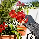 Casa vacanze Deluxe 4bdr House W/ Pool By Lovelystay Portimão