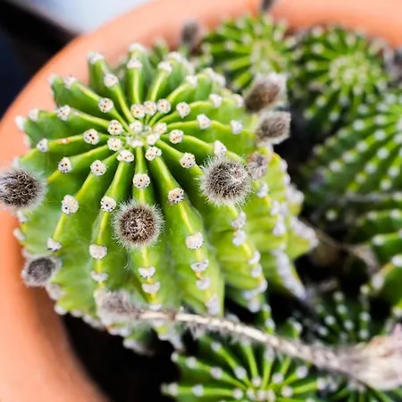 Deluxe 4bdr House W/ Pool By Lovelystay Portimao